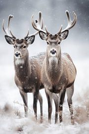 Two Deers