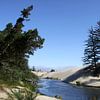 Oregon Dunes - Dünen in Oregon von Christiane Schulze