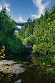 See in Schweden mit Seerosen, weißen Wolken, blaues Wasser und Bäumen am Ufer von Martin Köbsch