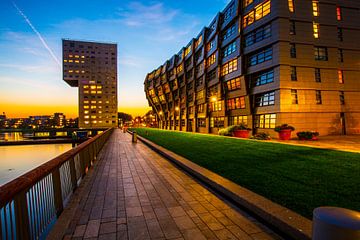 The Wave, Almere van Lieuwe J. Zander