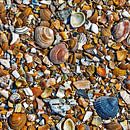 Honderden kleine kunstwerken op het strand van Art by Jeronimo thumbnail