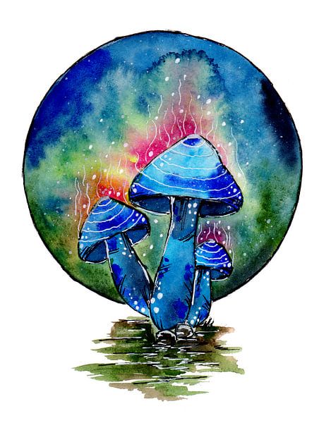 Champignons bleus vénéneux par Sebastian Grafmann