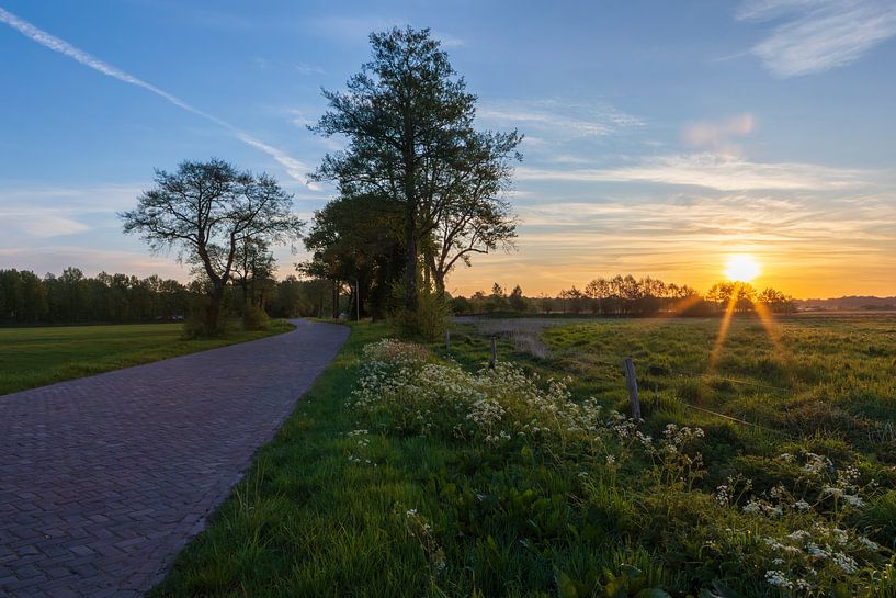 Westdorp and its nature reserve by Daphne Kleine