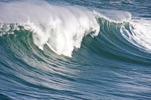 Reuze golf in de atlantische oceaan