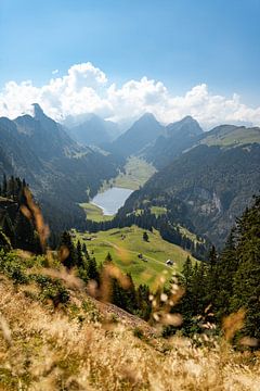 Herfstuitzicht op het platteland van Appenzell vanaf de Wilden Kasten van Leo Schindzielorz