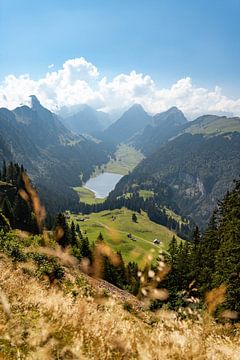 Herbstlicher Blick auf das Appenzeller Land vom Wilden Kasten von Leo Schindzielorz