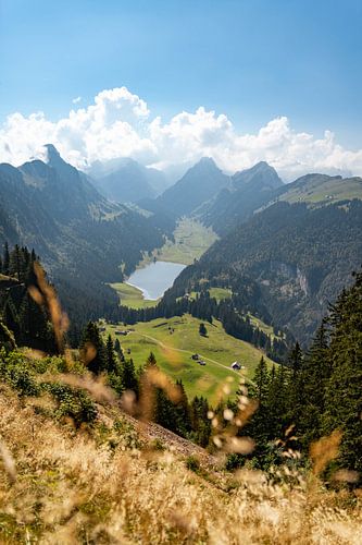 Herfstuitzicht op het platteland van Appenzell vanaf de Wilden Kasten