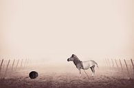 Unique Image manipulation of Zebra with Stripes of Yarn Ball on Foggy Morning by Elianne van Turennout thumbnail