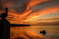 Avondopname van de zonsondergang in Florida Keys van Ineke Huizing thumbnail