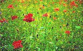 Klaprozen von Ronald Wilfred Jansen