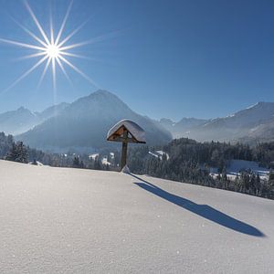 ein schöner Wintertag im Allgäu
