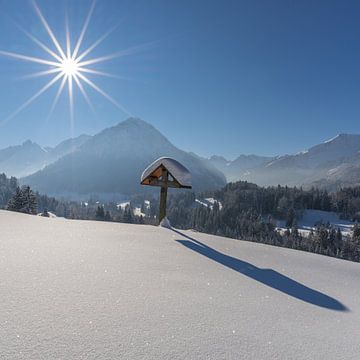 Een mooie winterdag in de Allgäu van Walter G. Allgöwer