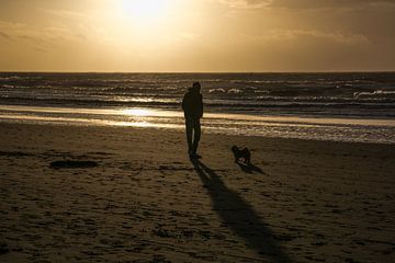 Doggy beach walk. van ProPhoto Pictures