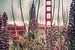 Blumen mit der Golden Gate Bridge von Bert Nijholt