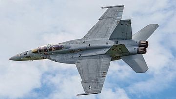 Flyby U.S. Navy F-18 Rhino Demo Team. van Jaap van den Berg