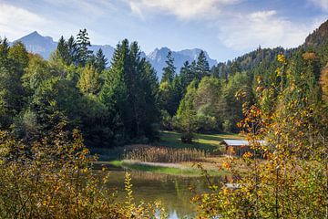Herbstlicher Wald mit Wettersteingebirge und Schmölzersee