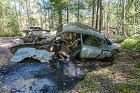 Oldtimer in the swamp