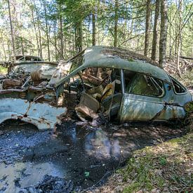 Oldtimer im Sumpf von Aurelie Vandermeren