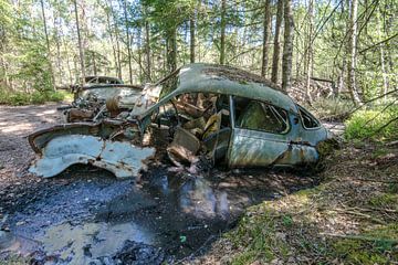 Oldtimer im Sumpf von Aurelie Vandermeren