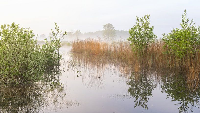 Sunrise Dwingelderveld (Netherlands) by Marcel Kerdijk