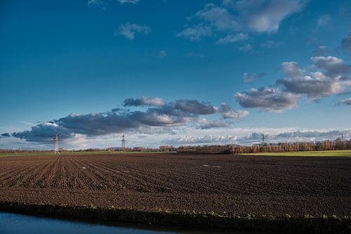 Dordrecht Stadspolders Wiese mit Betonung auf Luft