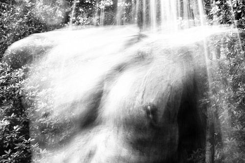 Torso | Romp | Torse von Pauline Duchene