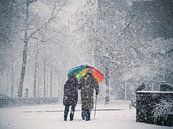 Paraplu in de sneeuw in Nijmegen van Rutger van Loo thumbnail