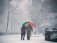 Umbrella in the snow in Nijmegen