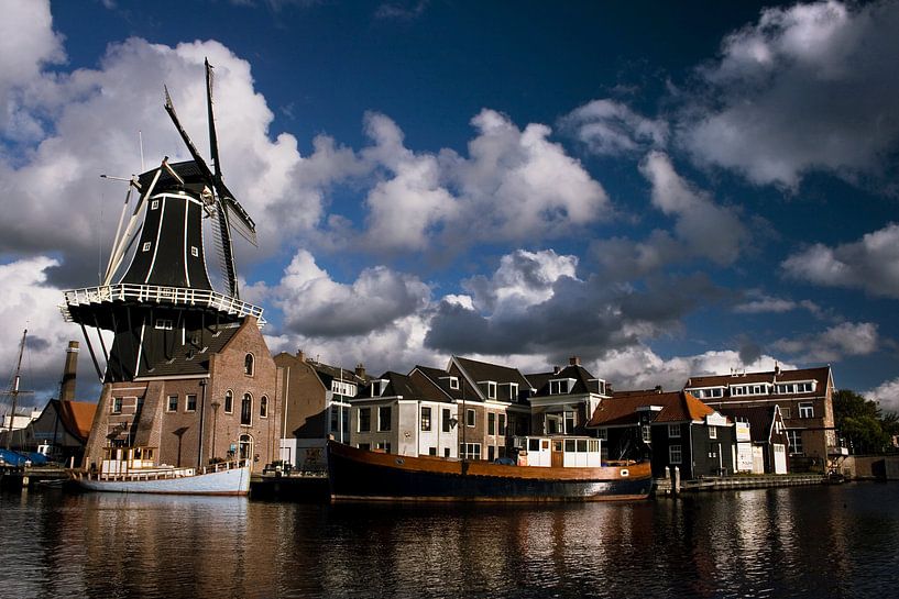 Haarlem vanaf het Spaarne met molen de Adriaan van Ties van Veelen
