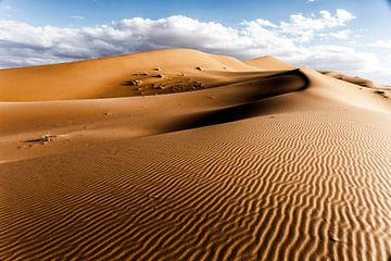 Onaangeroerde woestijn en het Landschap van Zandduinen bij Zonsopgang, Afrika