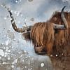 Peinture d'un Highlander écossais | Vache Highlander sur MadameRuiz
