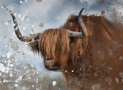 Schilderij van Schotse hooglander | Highlander Koe