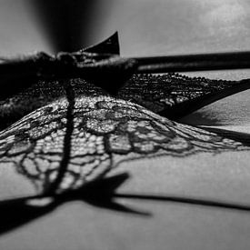 Seethrough lace by Edward Draijer