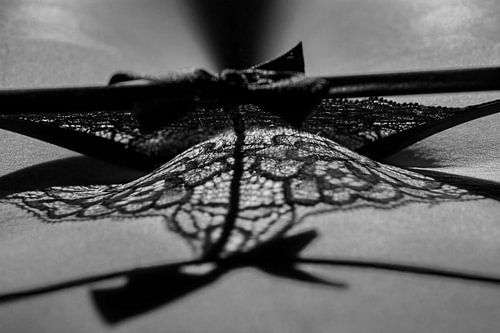 L'ombre de la séduction - Photographie d'art en noir et blanc