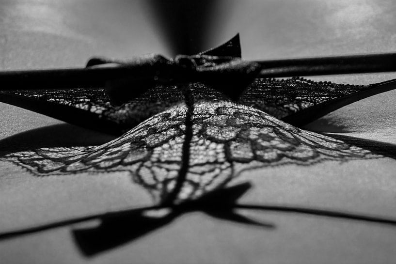 L'ombre de la séduction - Photographie d'art en noir et blanc par Edward Draijer
