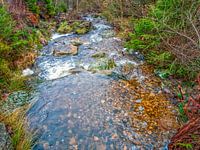 Between Nature Flowing River