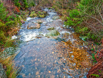 Between Nature Flowing River