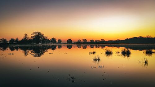 Kloosterveld bij zonsopkomst