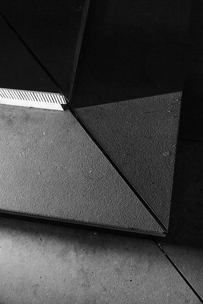 Step into the light van Tom Van den Bossche
