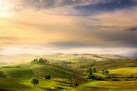 Sonnenaufgang des Podere Belvedere