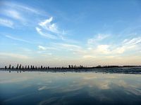 't Wad