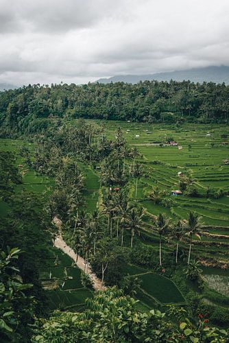 Authentiek tropisch uitzicht in Bali, Indonesië