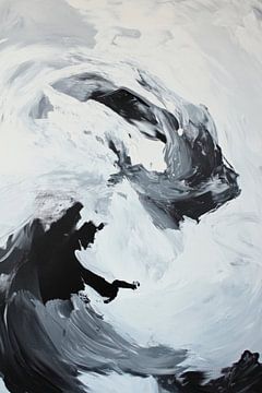 Dynamics in black and white by Poster Art Shop