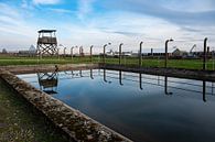 Reflecties in Auschwitz van Werner Lerooy thumbnail
