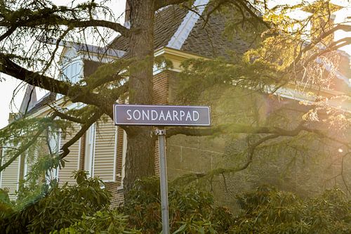 Der Sondaarweg in Loenen aan de Vecht
