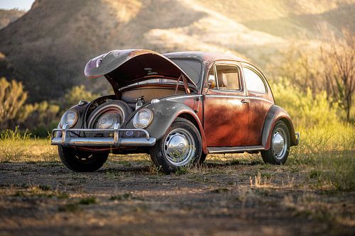Bad Painting Volkswagen