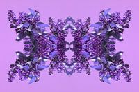 Seringenfantasie
