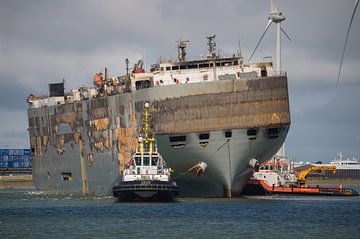 Katastrophenschiff Fremantle Highway von Jan Georg Meijer