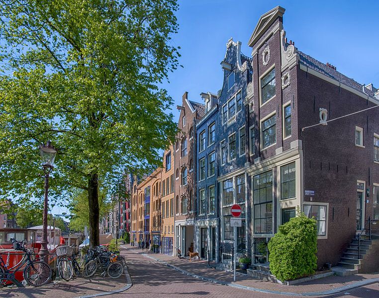 Lente op de Brouwersgracht Amsterdam van Peter Bartelings