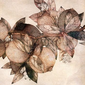 Japanse boomgaard Japandi Abstract Modern